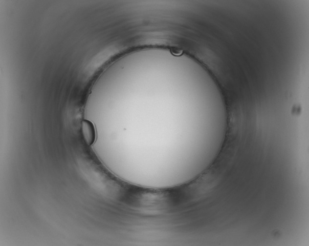 X0000113850160200910151220