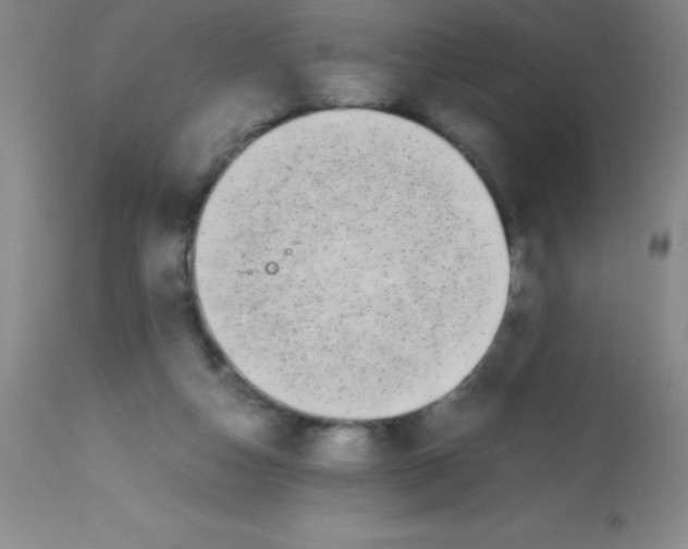 X0000113850162200910151220