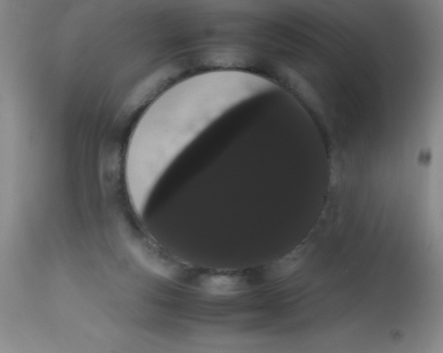 X0000113850163200910151220