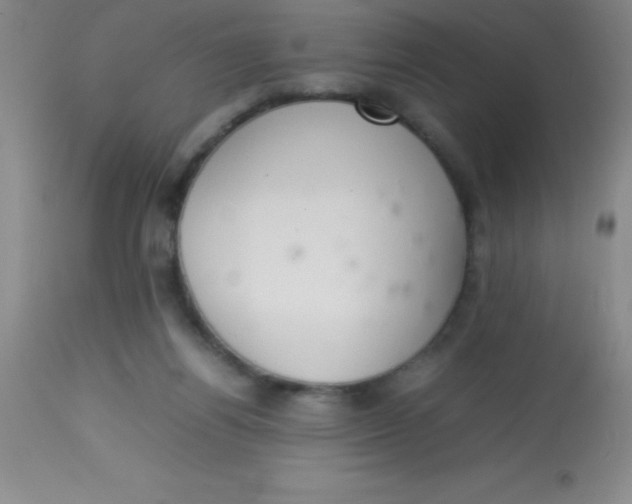 X0000113850164200910151220