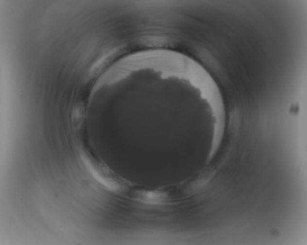 X0000113850165200910151220