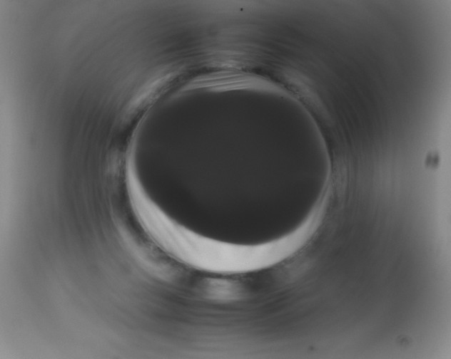 X0000113850167200910151220