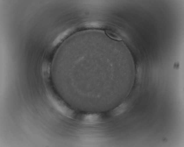 X0000113850168200910151220