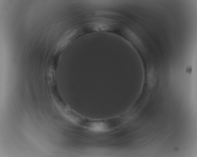 X0000113850169200910151220