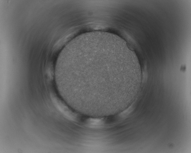 X0000113850170200910151220