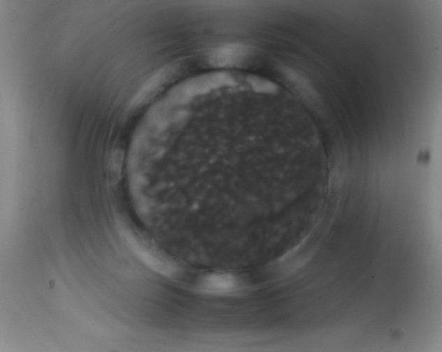 X0000113850171200910151220