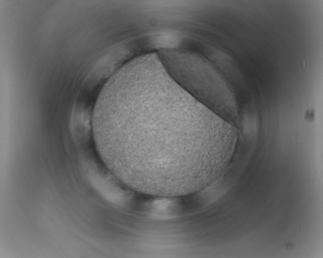 X0000113850172200910151220