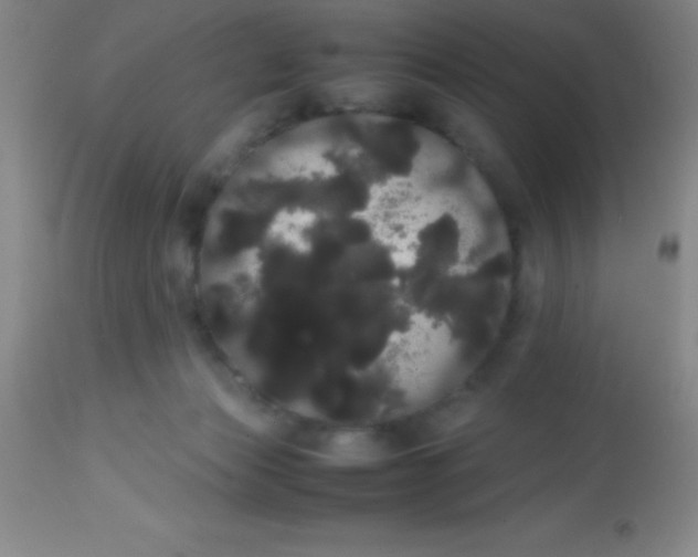 X0000113850173200910151220