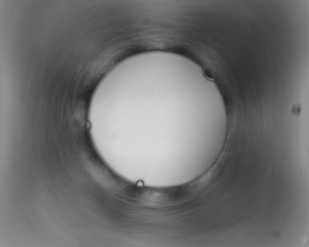 X0000113850174200910151220