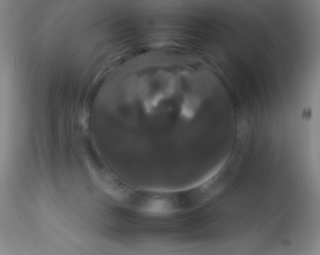 X0000113850175200910151220