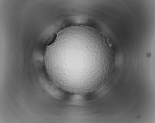 X0000113850176200910151220