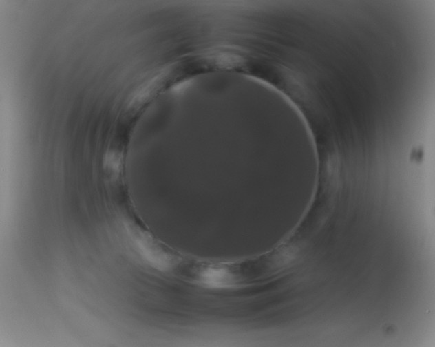 X0000113850177200910151221