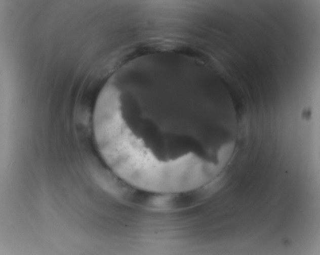 X0000113850178200910151221