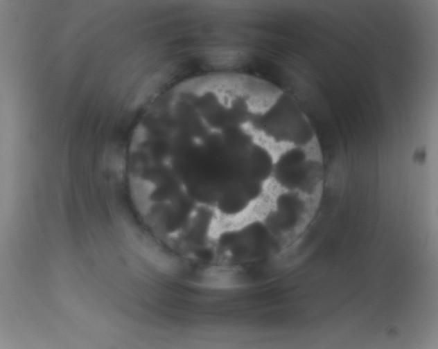 X0000113850179200910151221