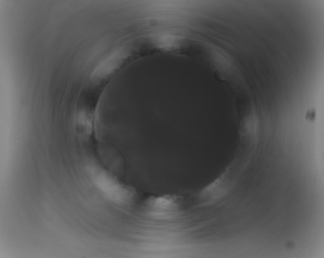 X0000113850180200910151221