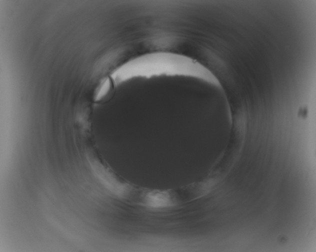 X0000113850181200910151221