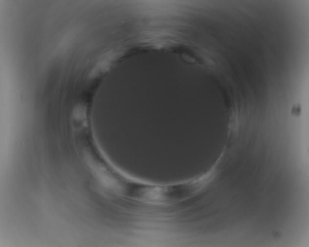 X0000113850182200910151221