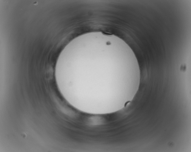 X0000113850183200910151221