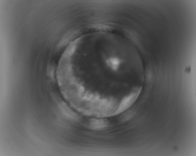 X0000113850185200910151221