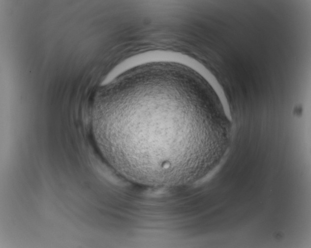 X0000113850186200910151221