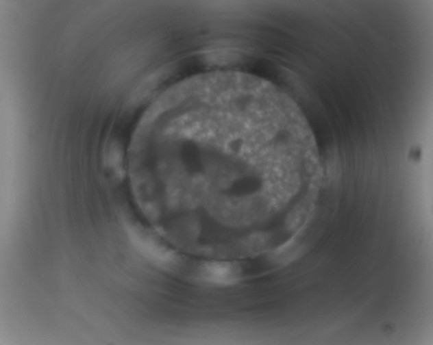 X0000113850187200910151221