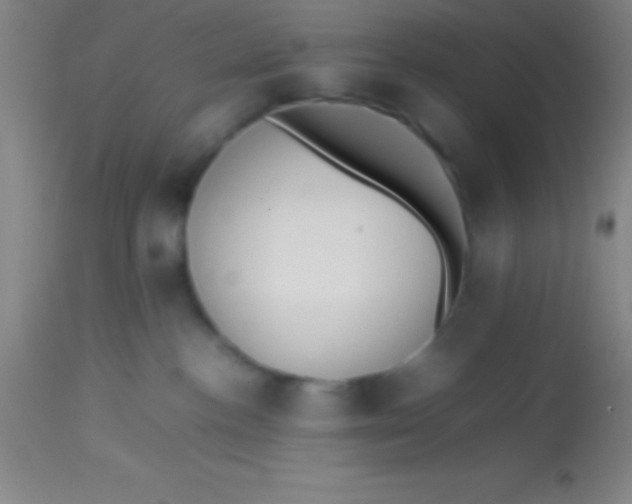 X0000113850188200910151221