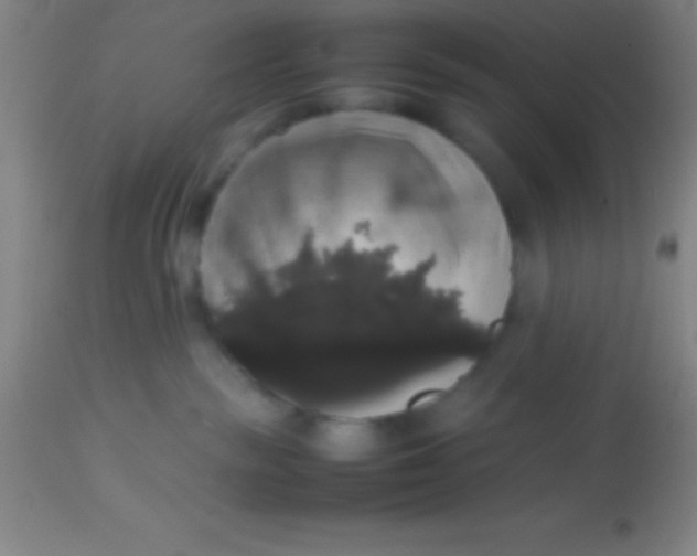 X0000113850189200910151221