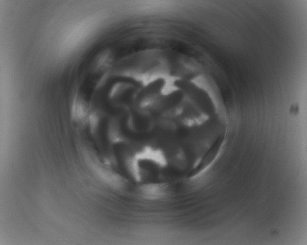 X0000113850191200910151221