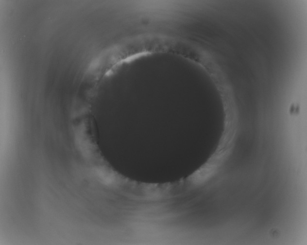 X0000113850192200910151221