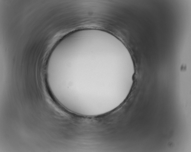 X0000113850193200910151220