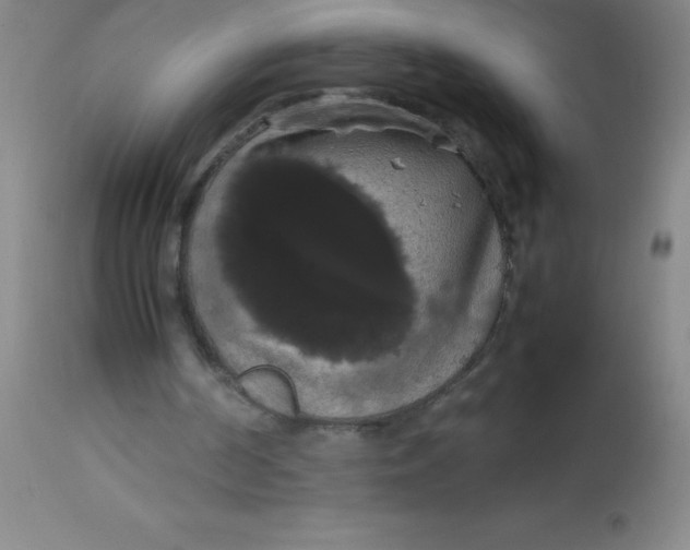 X0000113850194200910151220