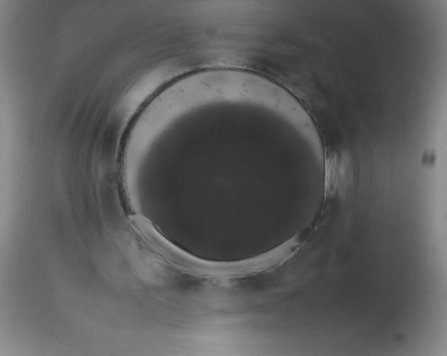 X0000113850195200910151220