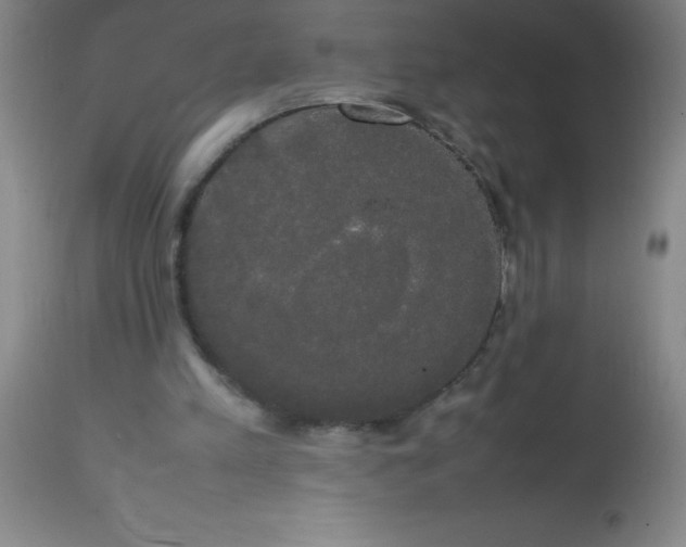 X0000113850197200910151220