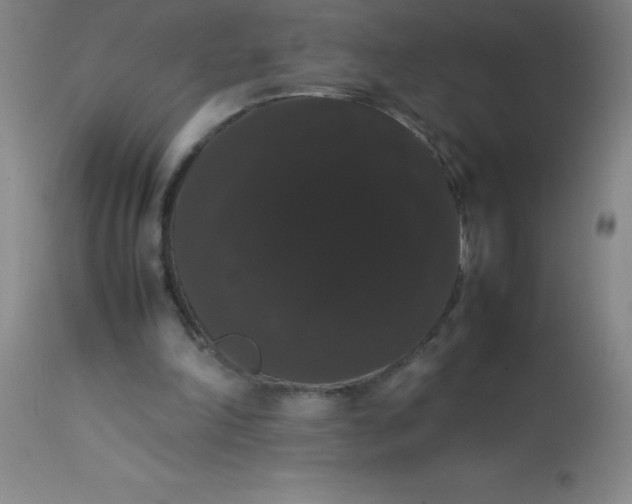 X0000113850198200910151220