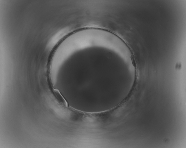 X0000113850199200910151220