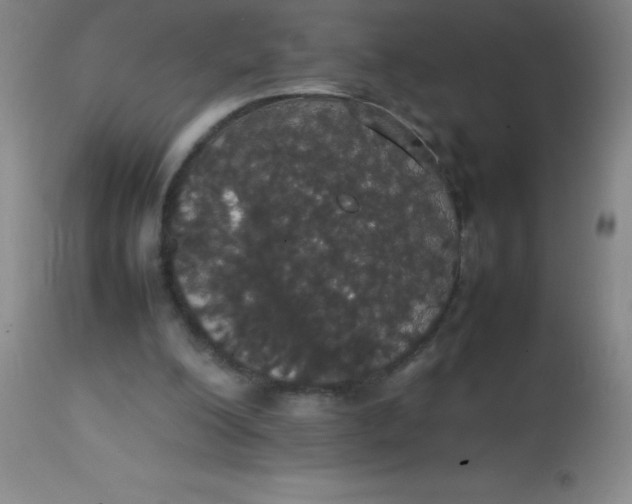 X0000113850200200910151220