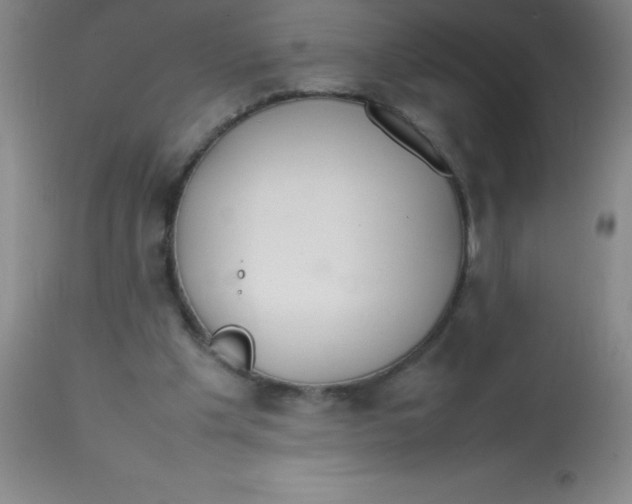 X0000113850201200910151220