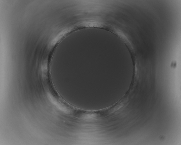 X0000113850202200910151220