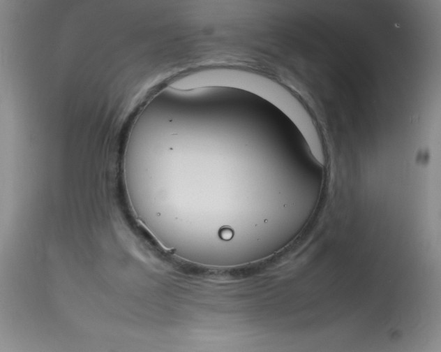 X0000113850203200910151220