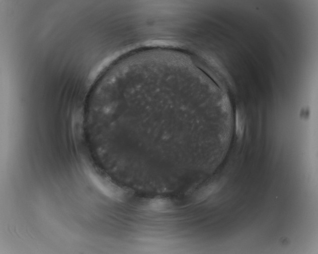 X0000113850204200910151220