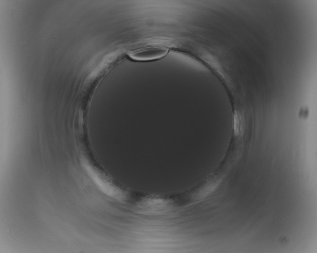 X0000113850205200910151220