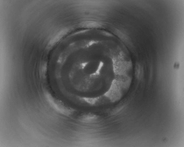 X0000113850206200910151220