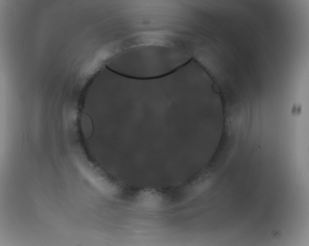 X0000113850207200910151220