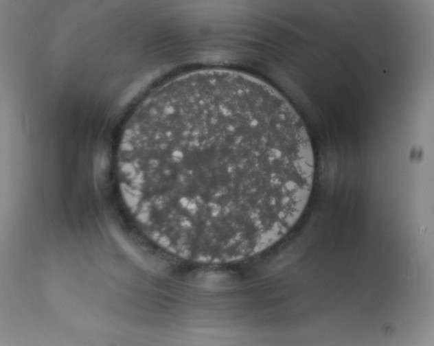 X0000113850208200910151220