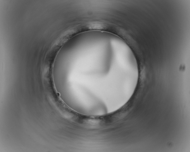 X0000113850209200910151220