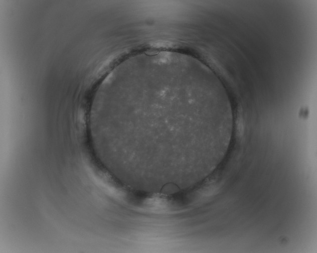 X0000113850211200910151220