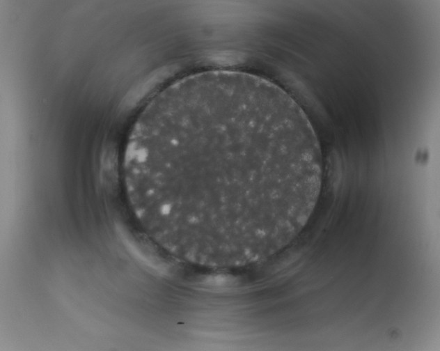 X0000113850212200910151220