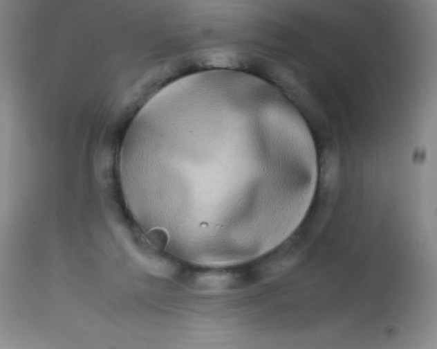 X0000113850213200910151220