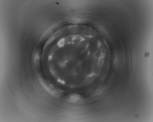 X0000113850214200910151220