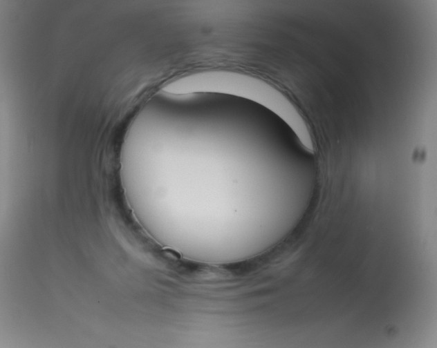 X0000113850215200910151220